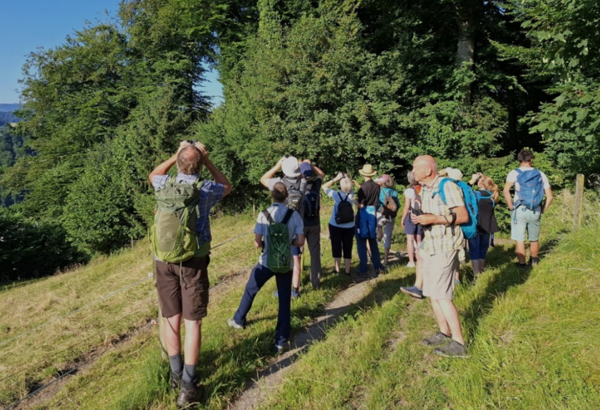 Naturkundliche Wanderung